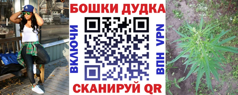 Виды наркотиков купить Новомосковск Гашиш  Каннабис  A-PVP  кракен зеркало  COCAIN  Меф мяу мяу 