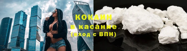 трава Магас