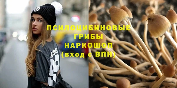 трава Магас