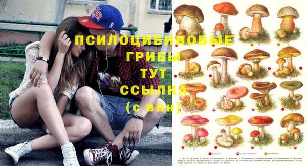 ПСИЛОЦИБИНОВЫЕ ГРИБЫ Майский