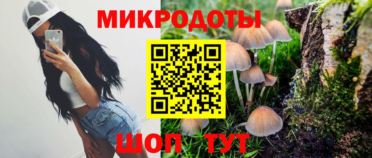 Псилоцибиновые грибы Psilocybe Новомосковск