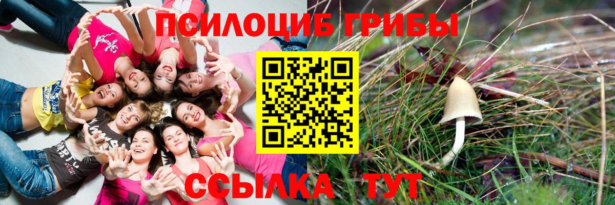 Псилоцибиновые грибы прущие грибы Новомосковск
