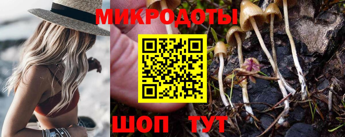 Галлюциногенные грибы Psilocybine cubensis  Вход с VPN  Новомосковск  Галлюциногенные грибы ЛСД 